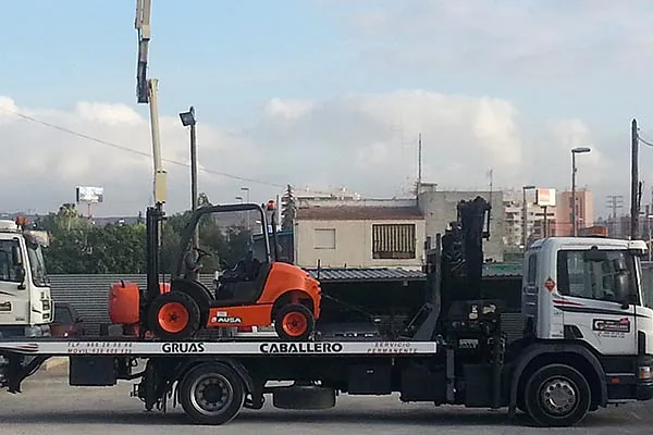 Grúas Caballero transporte terrestre 5